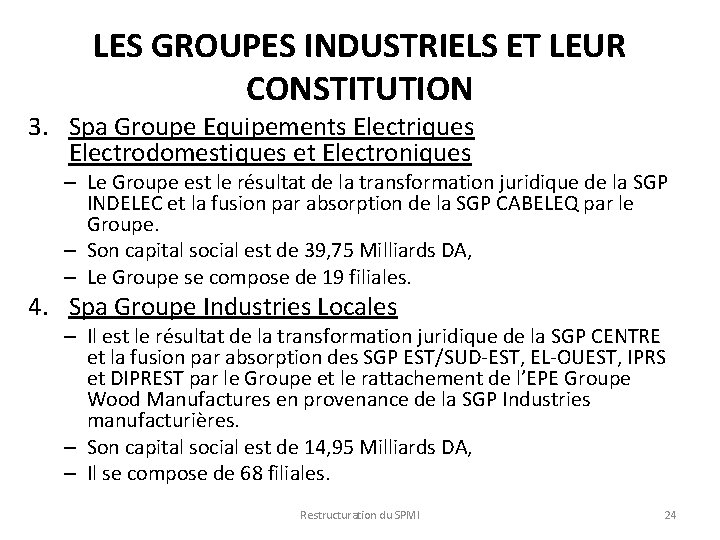 LES GROUPES INDUSTRIELS ET LEUR CONSTITUTION 3. Spa Groupe Equipements Electriques Electrodomestiques et Electroniques