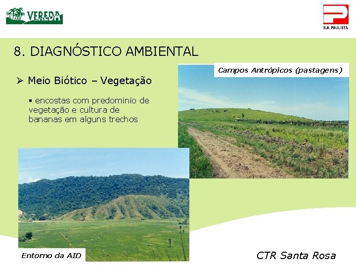 8. DIAGNÓSTICO AMBIENTAL Ø Meio Biótico – Vegetação Campos Antrópicos (pastagens) § encostas com