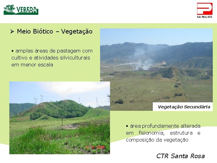 Ø Meio Biótico – Vegetação § amplas áreas de pastagem com cultivo e atividades