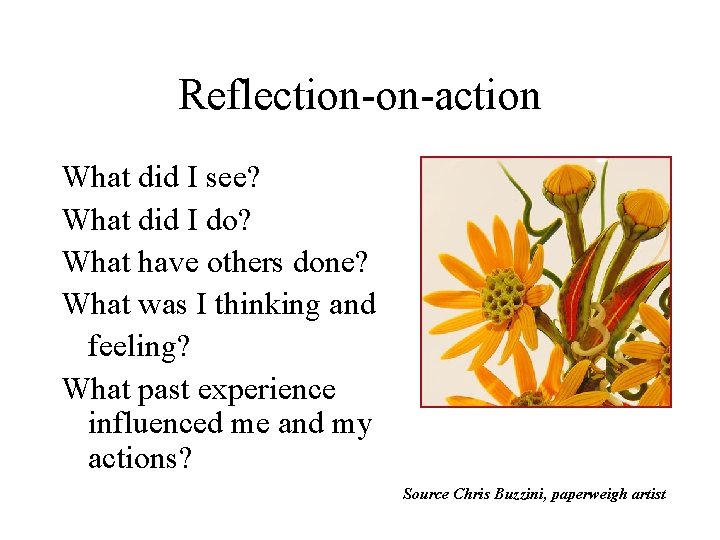 Reflective Practice in Archives and Archival Education AERI