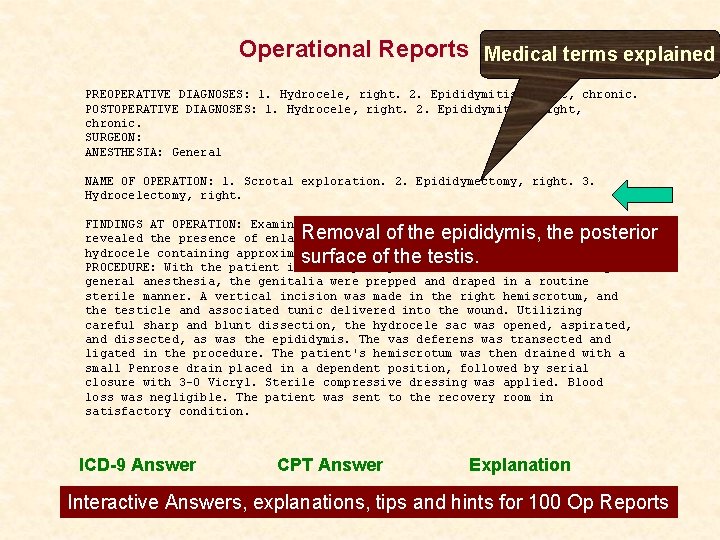 Operational Reports Medical terms explained PREOPERATIVE DIAGNOSES: 1. Hydrocele, right. 2. Epididymitis, right, chronic.