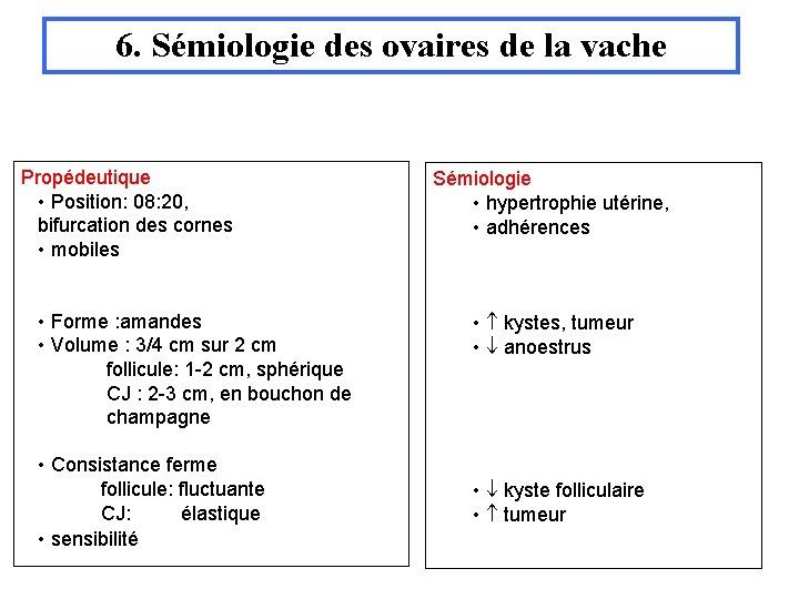 6. Sémiologie des ovaires de la vache Propédeutique • Position: 08: 20, bifurcation des