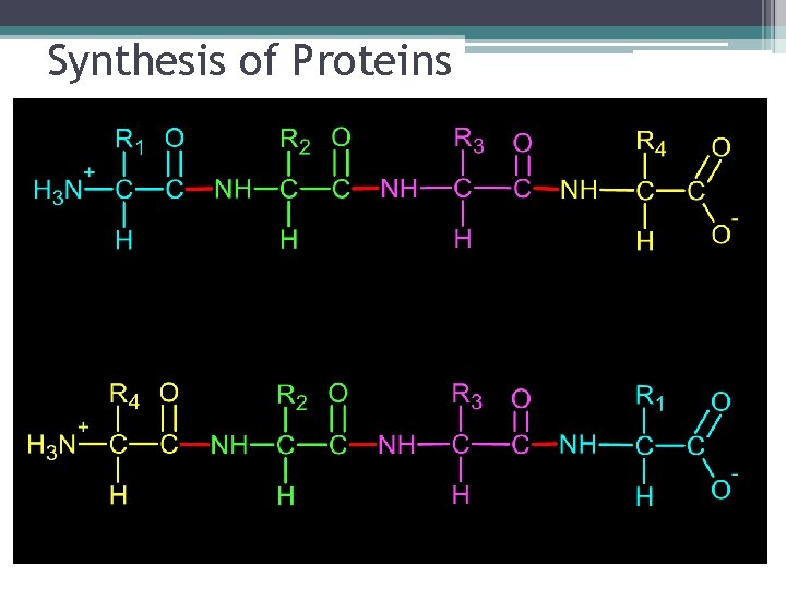 Synthesis of Proteins = ≠ 