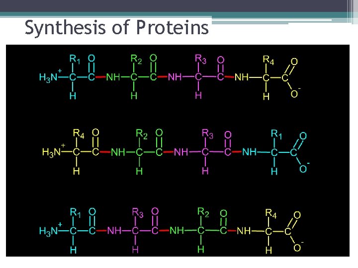 Synthesis of Proteins ≠ ≠ 