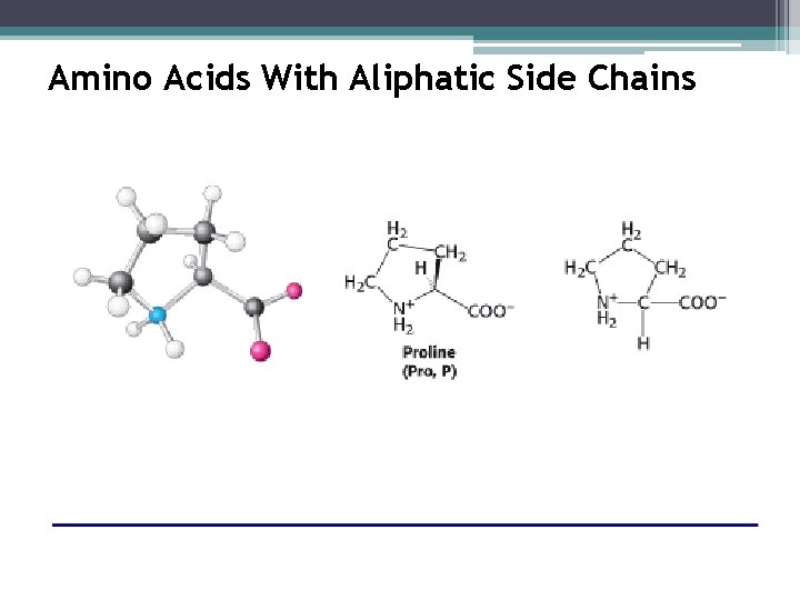 Amino Acids With Aliphatic Side Chains 