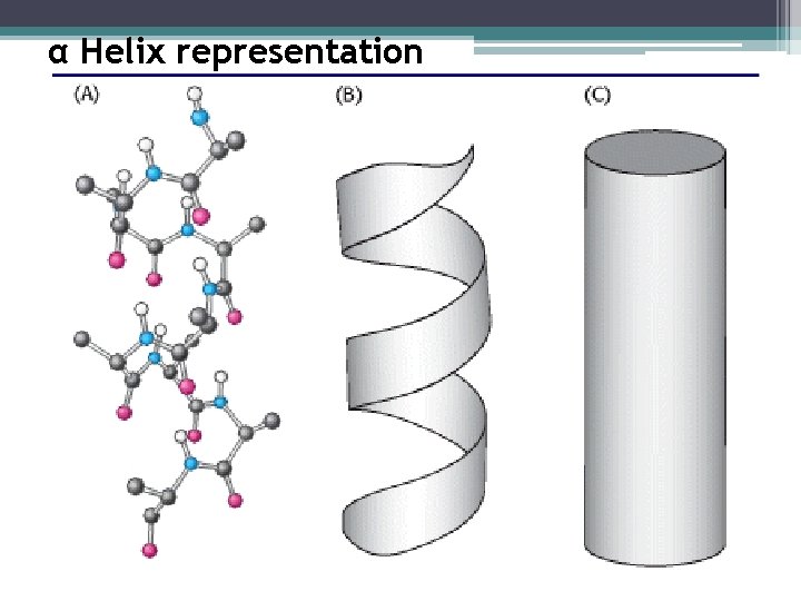 α Helix representation 