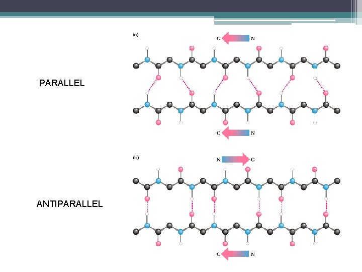 PARALLEL ANTIPARALLEL 