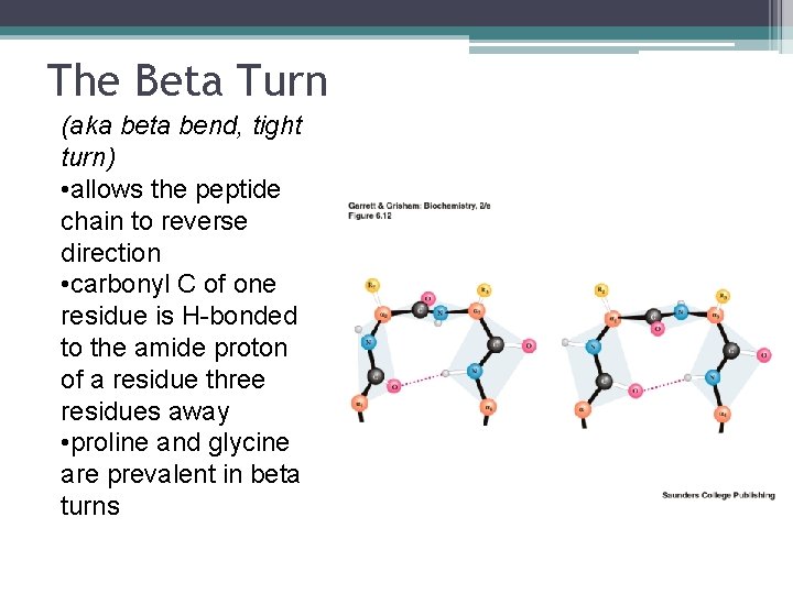 The Beta Turn (aka beta bend, tight turn) • allows the peptide chain to