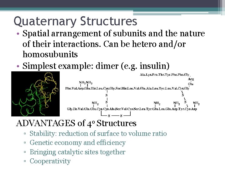 Quaternary Structures • Spatial arrangement of subunits and the nature of their interactions. Can