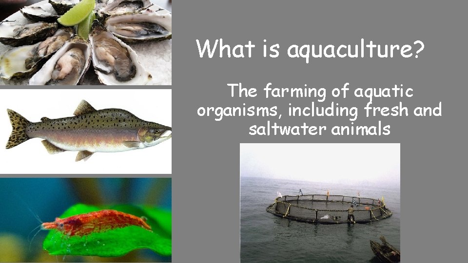 What is aquaculture? The farming of aquatic organisms, including fresh and saltwater animals 