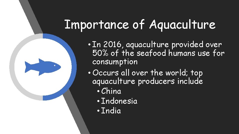 Importance of Aquaculture • In 2016, aquaculture provided over 50% of the seafood humans