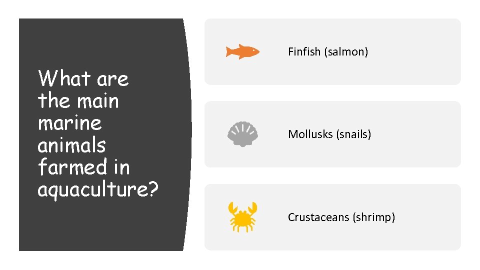 Finfish (salmon) What are the main marine animals farmed in aquaculture? Mollusks (snails) Crustaceans