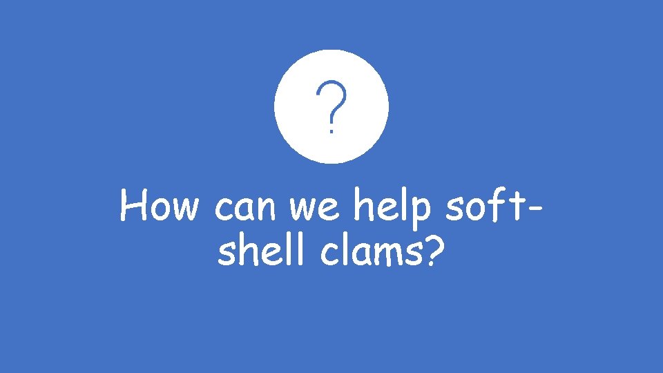 How can we help softshell clams? 