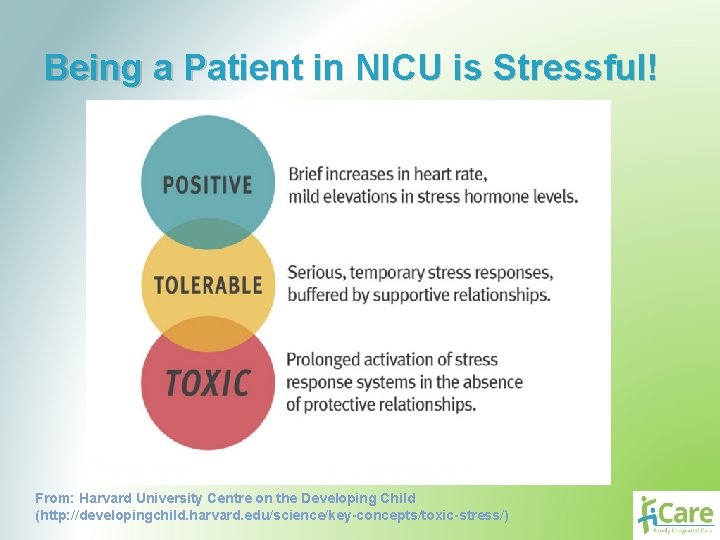 Being a Patient in NICU is Stressful! From: Harvard University Centre on the Developing