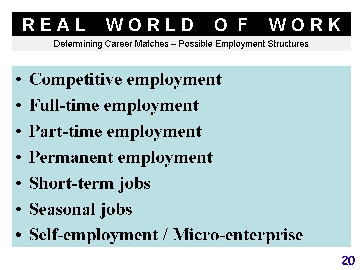 REAL WORLD O F WORK Determining Career Matches – Possible Employment Structures • •