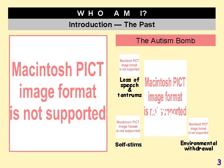 W H O A M I? Introduction — The Past The Autism Bomb Loss