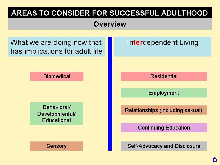 AREAS TO CONSIDER FOR SUCCESSFUL ADULTHOOD Overview What we are doing now that has