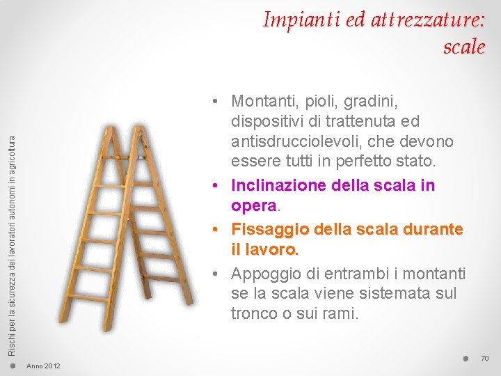 Impianti ed attrezzature: scale Rischi per la sicurezza dei lavoratori autonomi in agricoltura •