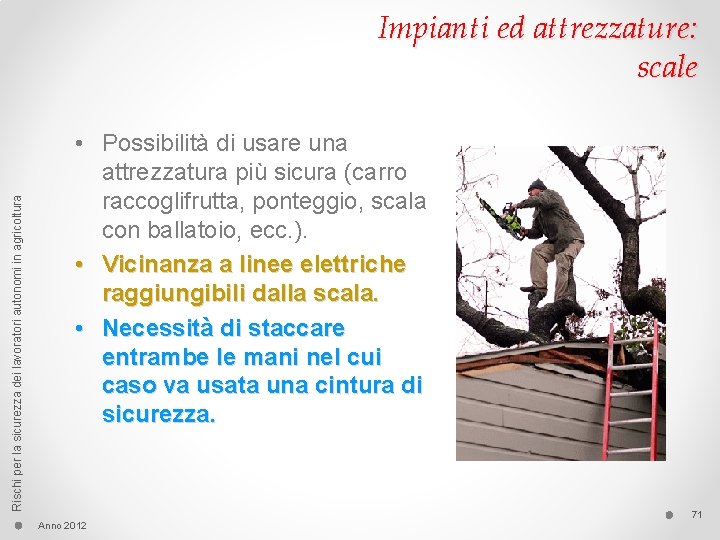 Rischi per la sicurezza dei lavoratori autonomi in agricoltura Impianti ed attrezzature: scale •