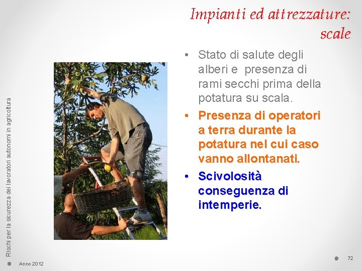 Impianti ed attrezzature: scale Rischi per la sicurezza dei lavoratori autonomi in agricoltura •