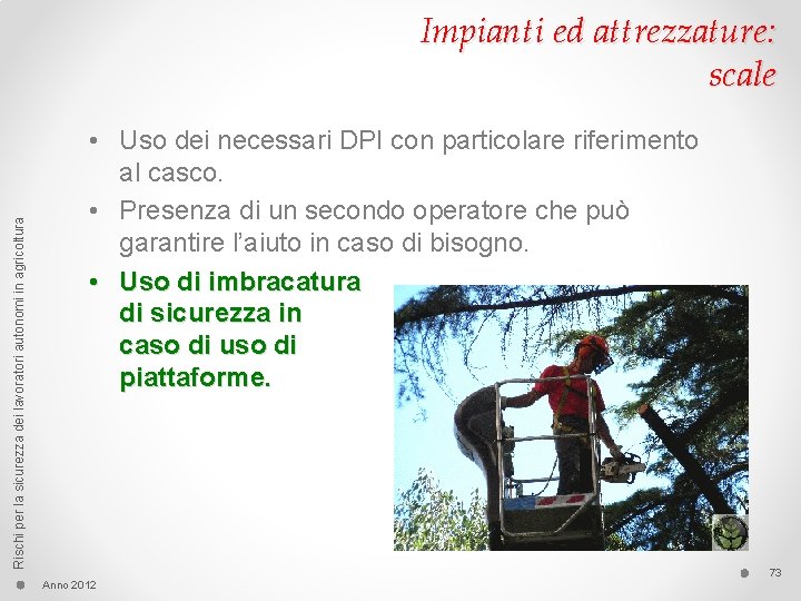 Rischi per la sicurezza dei lavoratori autonomi in agricoltura Impianti ed attrezzature: scale •
