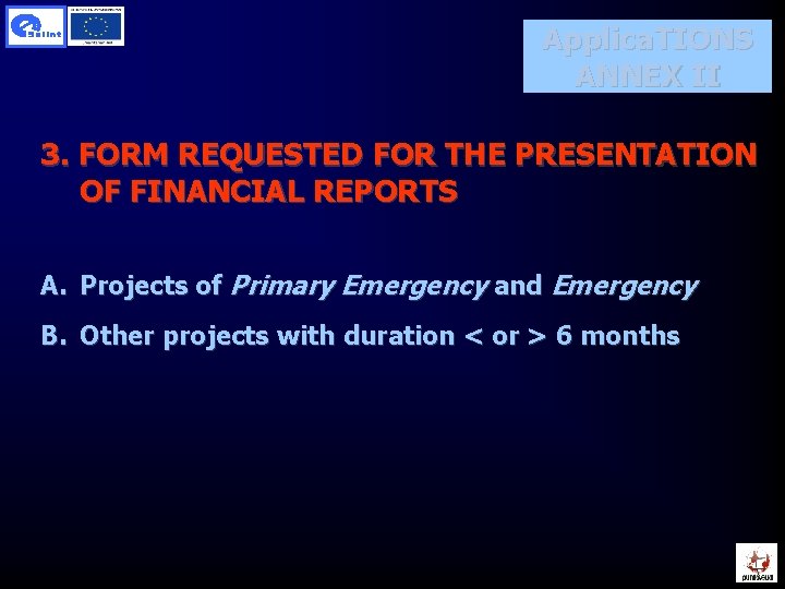 Applica. TIONS ANNEX II 3. FORM REQUESTED FOR THE PRESENTATION OF FINANCIAL REPORTS A.