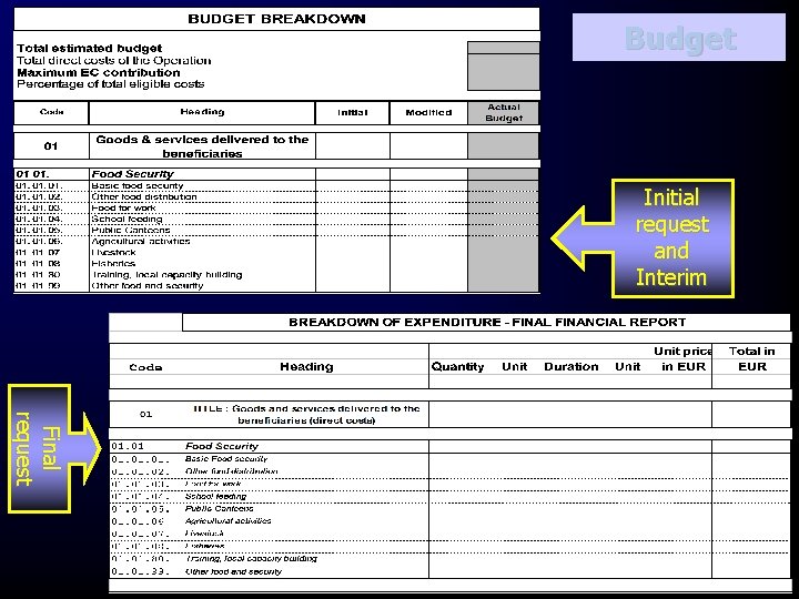 Budget Initial request and Interim Final request 