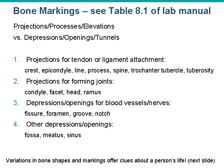 Bone Markings – see Table 8. 1 of lab manual Projections/Processes/Elevations vs. Depressions/Openings/Tunnels 1.