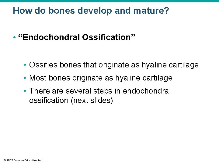 How do bones develop and mature? • “Endochondral Ossification” • Ossifies bones that originate