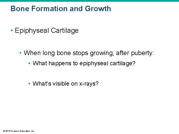 Bone Formation and Growth • Epiphyseal Cartilage • When long bone stops growing, after