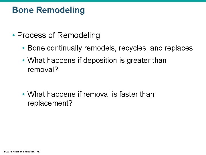 Bone Remodeling • Process of Remodeling • Bone continually remodels, recycles, and replaces •