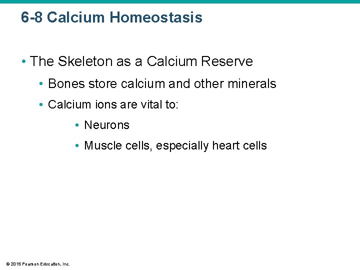 6 -8 Calcium Homeostasis • The Skeleton as a Calcium Reserve • Bones store