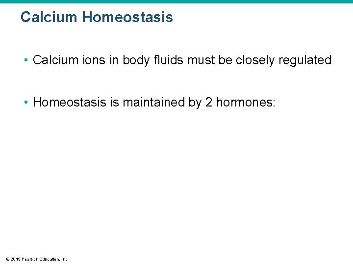 Calcium Homeostasis • Calcium ions in body fluids must be closely regulated • Homeostasis