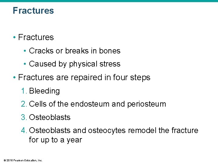 Fractures • Cracks or breaks in bones • Caused by physical stress • Fractures