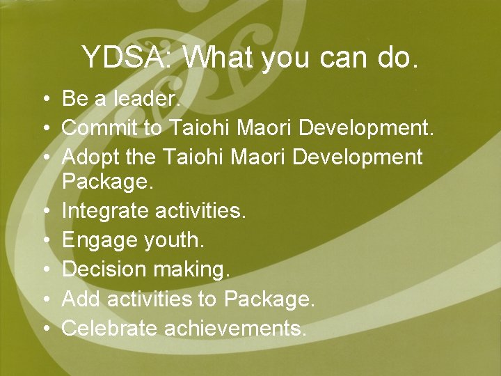 YDSA: What you can do. • Be a leader. • Commit to Taiohi Maori