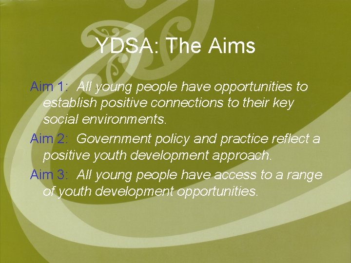 YDSA: The Aims Aim 1: All young people have opportunities to establish positive connections