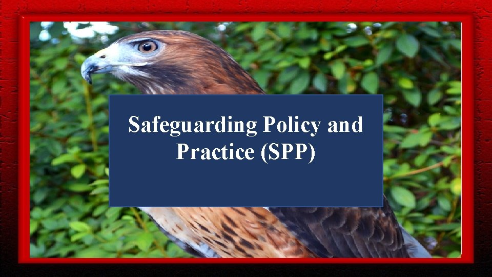 Safeguarding Policy and CI Safeguarding Practice (SPP) Policy and Practice 1 