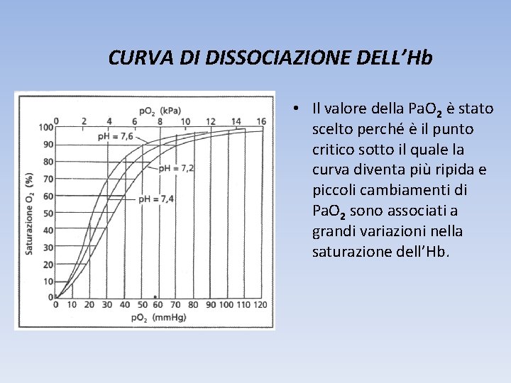 CURVA DI DISSOCIAZIONE DELL’Hb • Il valore della Pa. O 2 è stato scelto CURVA DI DISSOCIAZIONE DELL’Hb • Il valore della Pa. O 2 è stato scelto