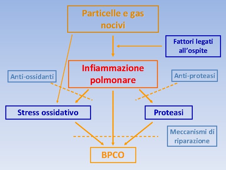 Particelle e gas nocivi Fattori legati all’ospite Anti-ossidanti Infiammazione polmonare Stress ossidativo Anti-proteasi Proteasi