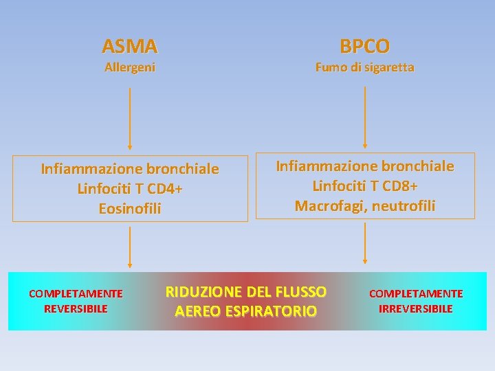 ASMA BPCO Allergeni Fumo di sigaretta Infiammazione bronchiale Linfociti T CD 4+ Eosinofili Infiammazione
