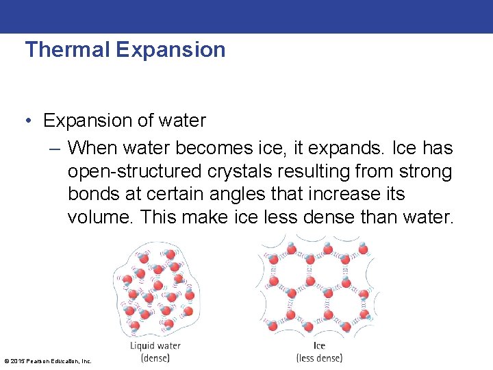 Thermal Expansion • Expansion of water – When water becomes ice, it expands. Ice