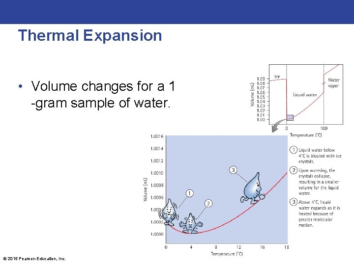 Thermal Expansion • Volume changes for a 1 -gram sample of water. © 2015