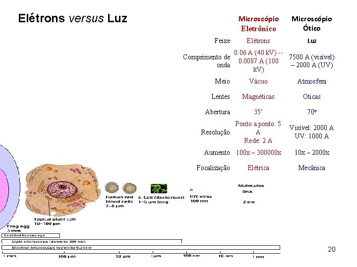 Elétrons versus Luz Feixe Comprimento de onda Microscópio Eletrônico Microscópio Ótico Elétrons Luz 0.