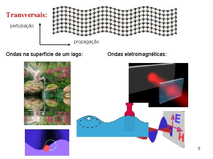 Transversais: pertubação propagação Ondas na superfície de um lago: Ondas eletromagnéticas: 5 