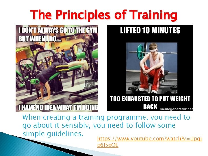The Principles of Training When creating a training programme, you need to go about The Principles of Training When creating a training programme, you need to go about