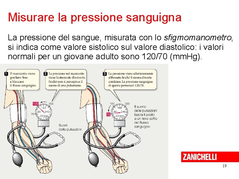 Misurare la pressione sanguigna La pressione del sangue, misurata con lo sfigmomanometro, si indica