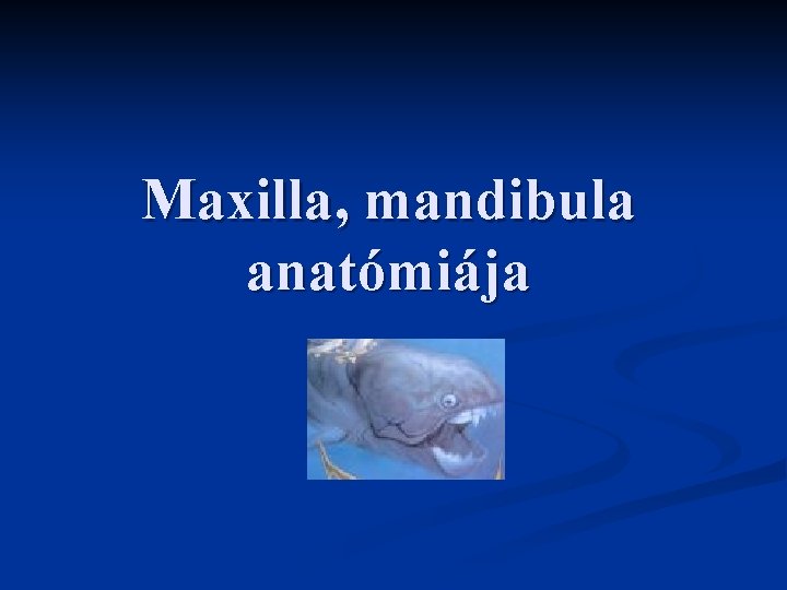 Maxilla, mandibula anatómiája 