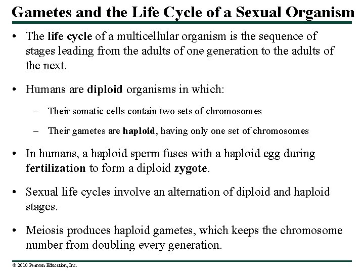 Gametes and the Life Cycle of a Sexual Organism • The life cycle of