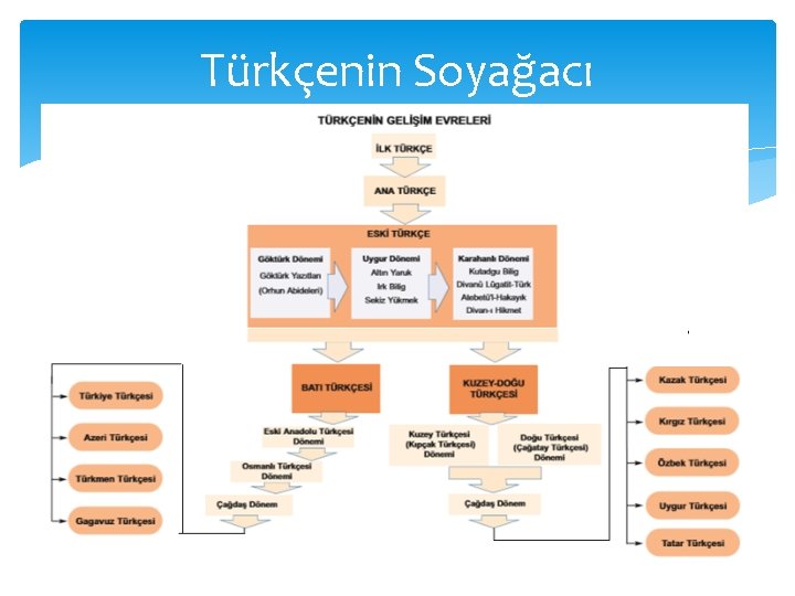 Türkçenin Soyağacı 