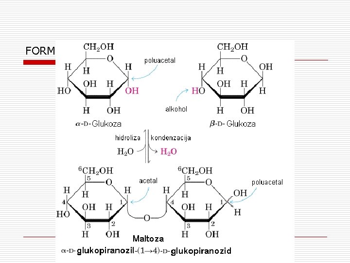 FORMIRANJE MALTOZE 